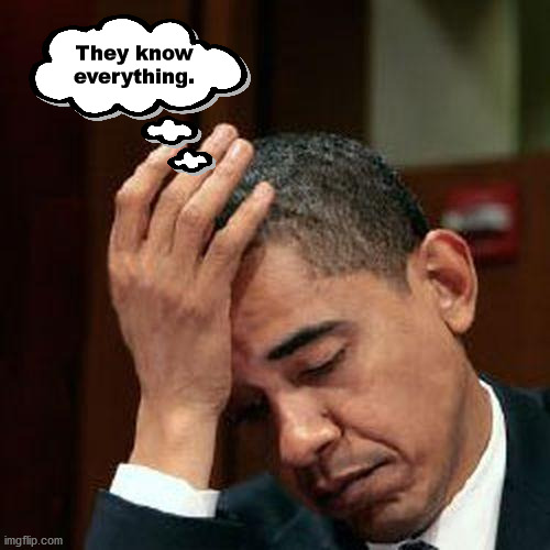 Obama Facepalm 250px | They know everything. | image tagged in obama facepalm 250px | made w/ Imgflip meme maker