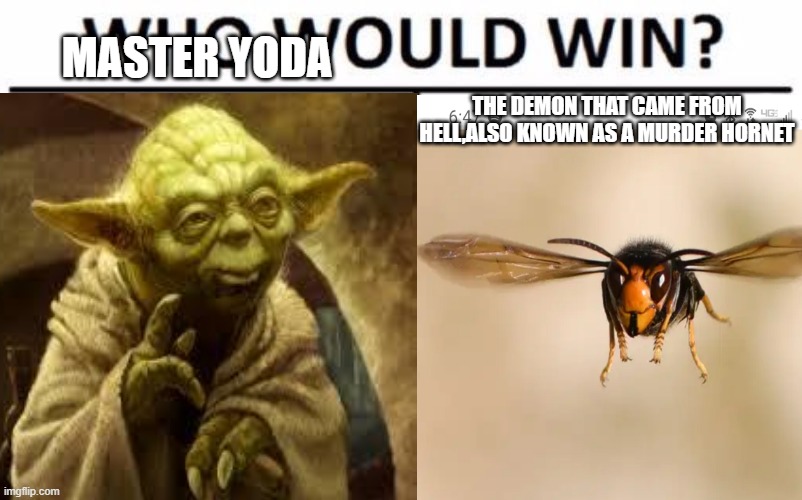 yoda or incarnation of evill | MASTER YODA; THE DEMON THAT CAME FROM HELL,ALSO KNOWN AS A MURDER HORNET | image tagged in memes | made w/ Imgflip meme maker