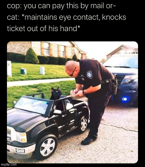 Cats like to knock stuff out of hands. | image tagged in cats | made w/ Imgflip meme maker