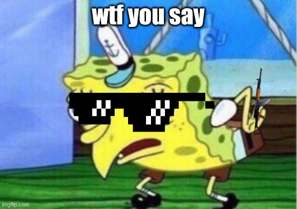 Mocking Spongebob Meme | wtf you say | image tagged in memes,mocking spongebob | made w/ Imgflip meme maker
