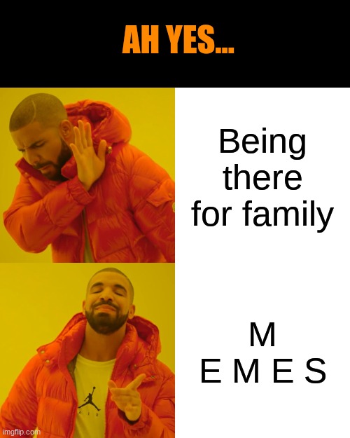 Memes or family? You decide | AH YES... Being there for family; M E M E S | image tagged in memes,drake hotline bling | made w/ Imgflip meme maker