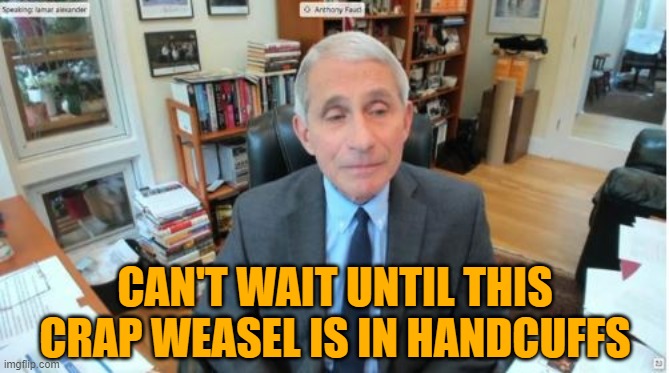 Life in prison would be perfect. | CAN'T WAIT UNTIL THIS CRAP WEASEL IS IN HANDCUFFS | image tagged in fauci,covid-19 | made w/ Imgflip meme maker