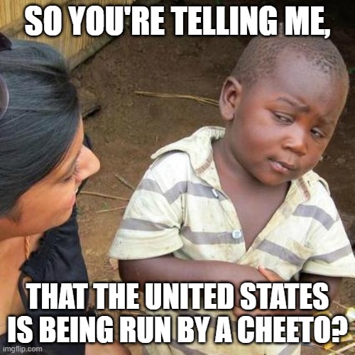Third World Skeptical Kid Meme | SO YOU'RE TELLING ME, THAT THE UNITED STATES IS BEING RUN BY A CHEETO? | image tagged in memes,third world skeptical kid,funny | made w/ Imgflip meme maker