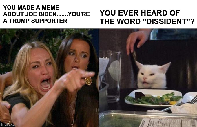 Dissident Cat | YOU MADE A MEME ABOUT JOE BIDEN.......YOU'RE A TRUMP SUPPORTER; YOU EVER HEARD OF THE WORD "DISSIDENT"? | image tagged in memes,woman yelling at cat,dissident,political meme,politics | made w/ Imgflip meme maker