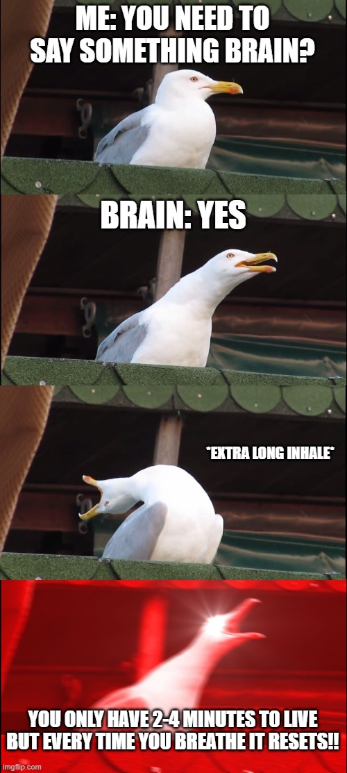 Inhaling Seagull | ME: YOU NEED TO SAY SOMETHING BRAIN? BRAIN: YES; *EXTRA LONG INHALE*; YOU ONLY HAVE 2-4 MINUTES TO LIVE BUT EVERY TIME YOU BREATHE IT RESETS!! | image tagged in memes,inhaling seagull | made w/ Imgflip meme maker