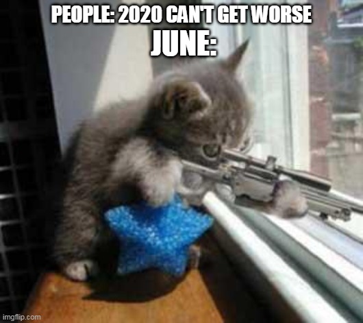 CatSniper | PEOPLE: 2020 CAN'T GET WORSE; JUNE: | image tagged in catsniper | made w/ Imgflip meme maker