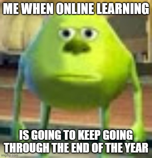 Remote Learning Blues | ME WHEN ONLINE LEARNING; IS GOING TO KEEP GOING THROUGH THE END OF THE YEAR | image tagged in sully wazowski | made w/ Imgflip meme maker