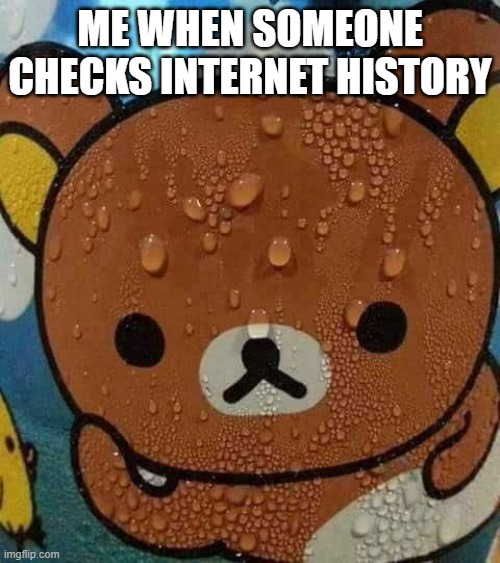 sweat bear | ME WHEN SOMEONE CHECKS INTERNET HISTORY | image tagged in sweat bear | made w/ Imgflip meme maker