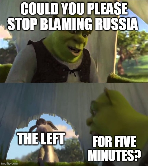 shrek five minutes | COULD YOU PLEASE STOP BLAMING RUSSIA; THE LEFT; FOR FIVE MINUTES? | image tagged in shrek five minutes | made w/ Imgflip meme maker