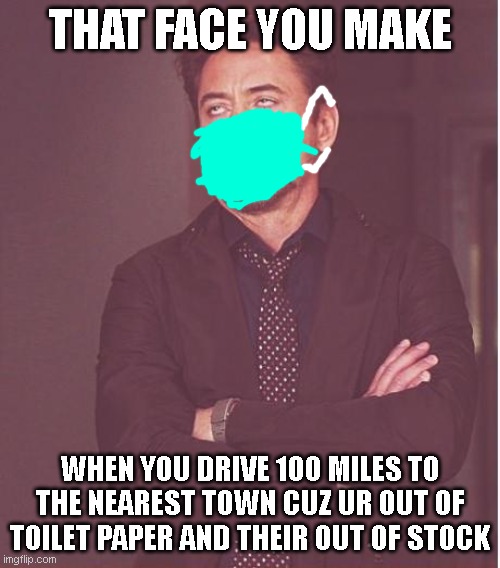 Face You Make Robert Downey Jr | THAT FACE YOU MAKE; WHEN YOU DRIVE 100 MILES TO THE NEAREST TOWN CUZ UR OUT OF TOILET PAPER AND THEIR OUT OF STOCK | image tagged in memes,face you make robert downey jr | made w/ Imgflip meme maker