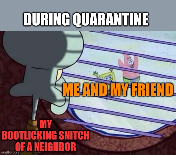 Squidward window | DURING QUARANTINE; MY BOOTLICKING SNITCH OF A NEIGHBOR; ME AND MY FRIEND | image tagged in squidward window | made w/ Imgflip meme maker