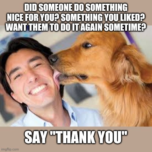 Manners Pro Tip #1 | DID SOMEONE DO SOMETHING NICE FOR YOU? SOMETHING YOU LIKED? WANT THEM TO DO IT AGAIN SOMETIME? SAY "THANK YOU" | image tagged in manners | made w/ Imgflip meme maker