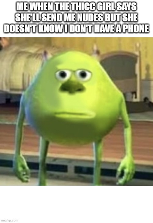 Mike Wazowski Face Swap | ME WHEN THE THICC GIRL SAYS SHE'LL SEND ME NUDES BUT SHE DOESN'T KNOW I DON'T HAVE A PHONE | image tagged in mike wazowski face swap | made w/ Imgflip meme maker