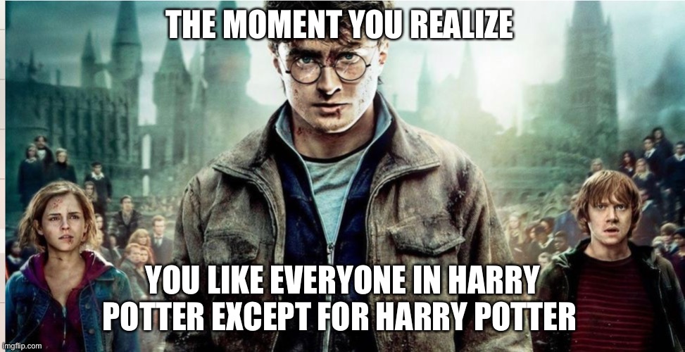 So true | THE MOMENT YOU REALIZE; YOU LIKE EVERYONE IN HARRY POTTER EXCEPT FOR HARRY POTTER | image tagged in harry potter,the moment you realize | made w/ Imgflip meme maker