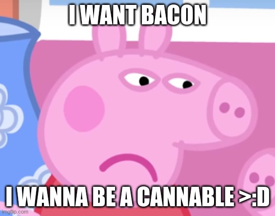 Angry Peppa Pig | I WANT BACON; I WANNA BE A CANNABLE >:D | image tagged in angry peppa pig | made w/ Imgflip meme maker