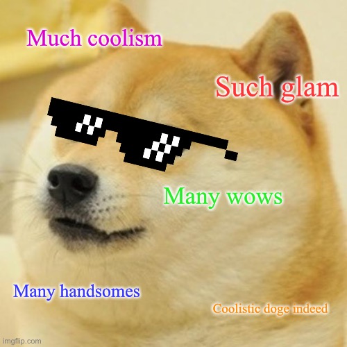 Doge Meme | Much coolism; Such glam; Many wows; Many handsomes; Coolistic doge indeed | image tagged in memes,doge | made w/ Imgflip meme maker