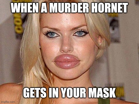 Big Lips |  WHEN A MURDER HORNET; GETS IN YOUR MASK | image tagged in big lips | made w/ Imgflip meme maker