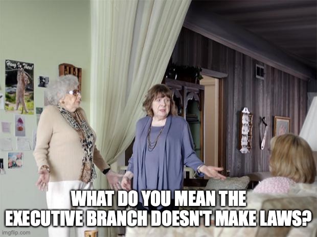 That's Not How Any Of This Works | WHAT DO YOU MEAN THE EXECUTIVE BRANCH DOESN'T MAKE LAWS? | image tagged in that's not how any of this works | made w/ Imgflip meme maker