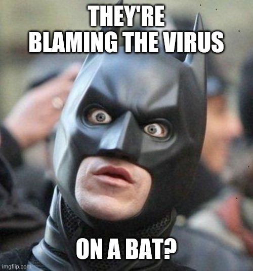 Shocked Batman | THEY'RE BLAMING THE VIRUS; ON A BAT? | image tagged in shocked batman | made w/ Imgflip meme maker