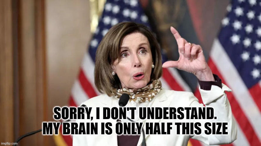 Pelosi Brain | SORRY, I DON'T UNDERSTAND. MY BRAIN IS ONLY HALF THIS SIZE | image tagged in nancy pelosi,political meme | made w/ Imgflip meme maker