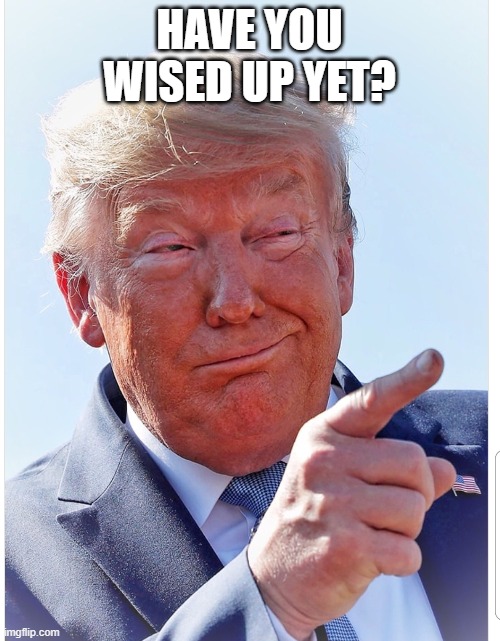 Trump pointing | HAVE YOU WISED UP YET? | image tagged in trump pointing | made w/ Imgflip meme maker