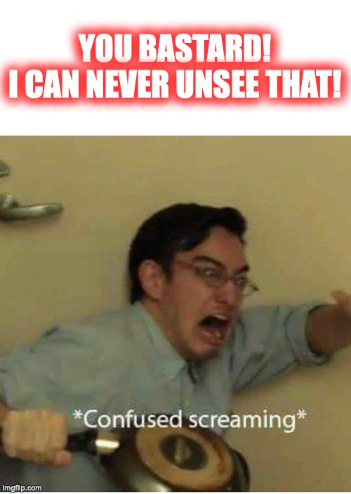 confused screaming | YOU BASTARD!
I CAN NEVER UNSEE THAT! | image tagged in confused screaming | made w/ Imgflip meme maker