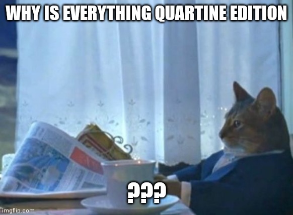 I Should Buy A Boat Cat | WHY IS EVERYTHING QUARTINE EDITION; ??? | image tagged in memes,i should buy a boat cat | made w/ Imgflip meme maker