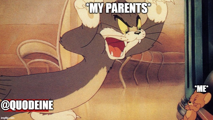 tom and jerry | *MY PARENTS*; *ME*; @QUODEINE | image tagged in tom and jerry,funny memes | made w/ Imgflip meme maker