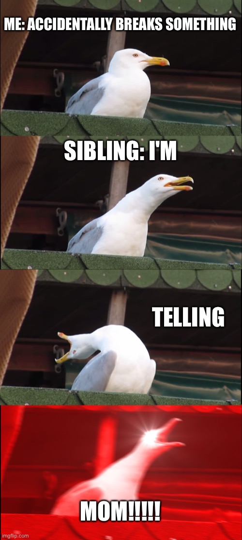 Inhaling Seagull Meme | ME: ACCIDENTALLY BREAKS SOMETHING; SIBLING: I'M; TELLING; MOM!!!!! | image tagged in memes,inhaling seagull | made w/ Imgflip meme maker