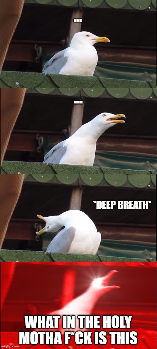 Inhaling Seagull Meme | ... ... *DEEP BREATH* WHAT IN THE HOLY MOTHA F*CK IS THIS | image tagged in memes,inhaling seagull | made w/ Imgflip meme maker