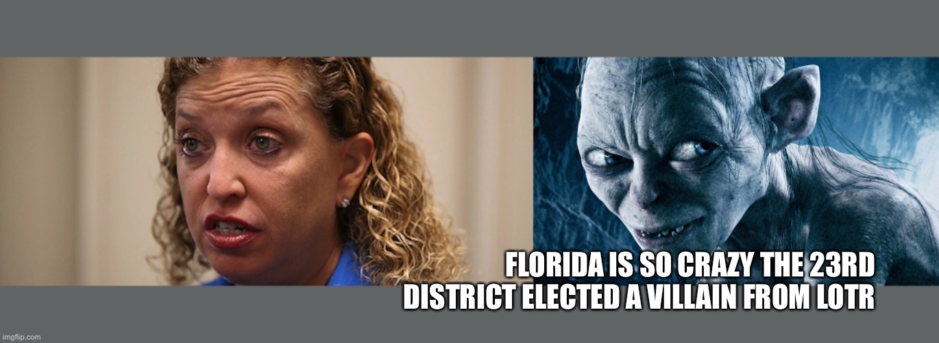 Florida | FLORIDA IS SO CRAZY THE 23RD DISTRICT ELECTED A VILLAIN FROM LOTR | image tagged in donald trump,nancy pelosi,debbie wasserman schultz,golem | made w/ Imgflip meme maker