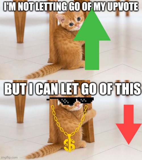 Cute cat | I'M NOT LETTING GO OF MY UPVOTE; BUT I CAN LET GO OF THIS | image tagged in cats | made w/ Imgflip meme maker