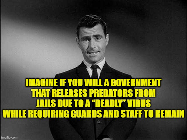 Imagine if you will a government that releases predators from jails due to a “deadly” virus while requiring guards and staff to  | IMAGINE IF YOU WILL A GOVERNMENT THAT RELEASES PREDATORS FROM JAILS DUE TO A “DEADLY” VIRUS WHILE REQUIRING GUARDS AND STAFF TO REMAIN | image tagged in rod serling twilight zone | made w/ Imgflip meme maker
