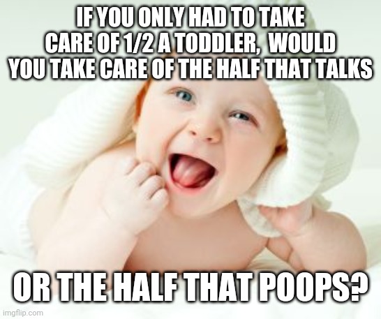 IF YOU ONLY HAD TO TAKE CARE OF 1/2 A TODDLER,  WOULD YOU TAKE CARE OF THE HALF THAT TALKS; OR THE HALF THAT POOPS? | image tagged in funny memes | made w/ Imgflip meme maker