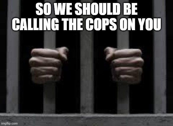 Jail | SO WE SHOULD BE CALLING THE COPS ON YOU | image tagged in jail | made w/ Imgflip meme maker