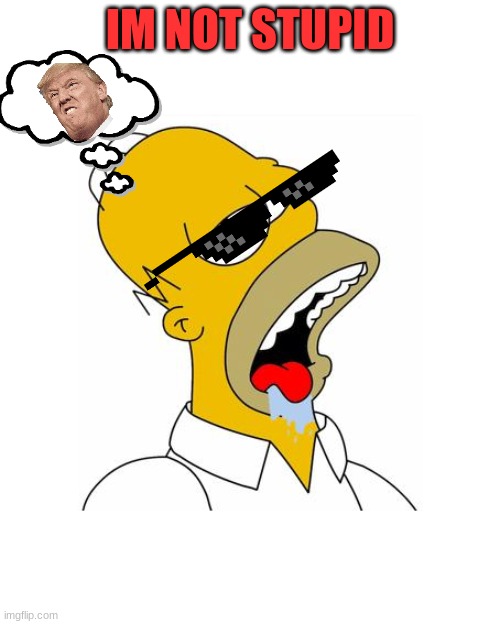 Homer Simpson Drooling | IM NOT STUPID | image tagged in homer simpson drooling | made w/ Imgflip meme maker