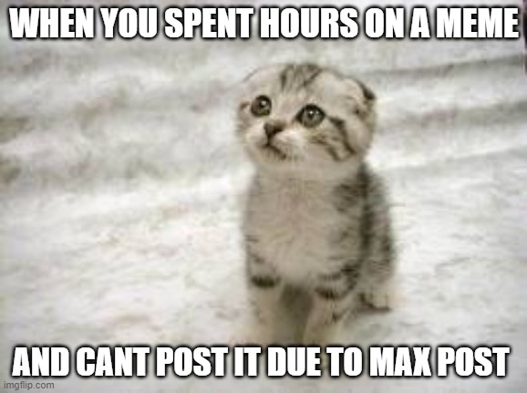 Sad Cat | WHEN YOU SPENT HOURS ON A MEME; AND CANT POST IT DUE TO MAX POST | image tagged in memes,sad cat | made w/ Imgflip meme maker