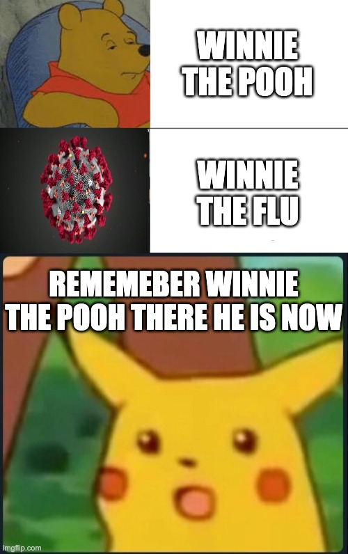 WINNIE THE POOH; WINNIE THE FLU; REMEMEBER WINNIE THE POOH THERE HE IS NOW | image tagged in surprised pikachu,memes,tuxedo winnie the pooh | made w/ Imgflip meme maker