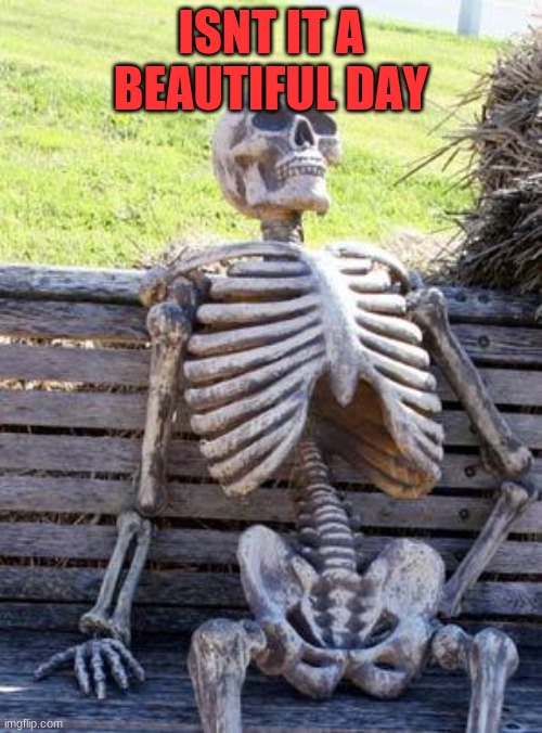 Waiting Skeleton | ISNT IT A BEAUTIFUL DAY | image tagged in memes,waiting skeleton | made w/ Imgflip meme maker