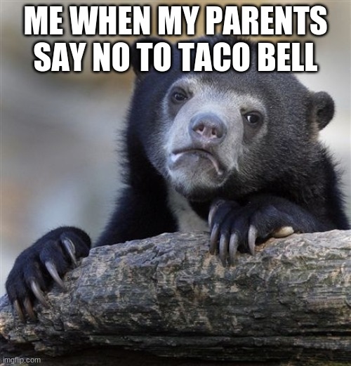 Confession Bear Meme | ME WHEN MY PARENTS SAY NO TO TACO BELL | image tagged in memes,confession bear | made w/ Imgflip meme maker
