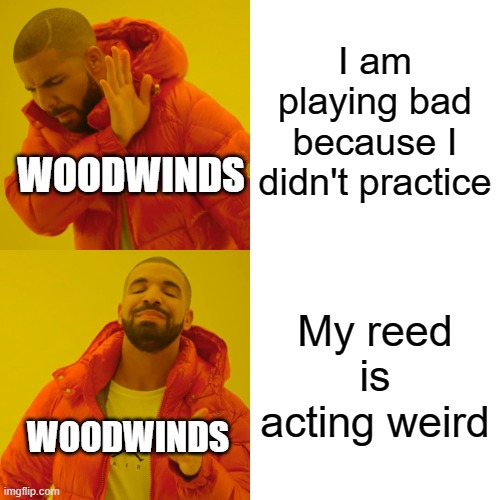 Drake Hotline Bling | I am playing bad because I didn't practice; WOODWINDS; My reed is acting weird; WOODWINDS | image tagged in memes,drake hotline bling | made w/ Imgflip meme maker