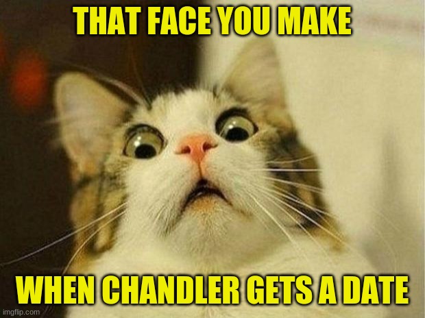 Scared Cat | THAT FACE YOU MAKE; WHEN CHANDLER GETS A DATE | image tagged in memes,scared cat | made w/ Imgflip meme maker