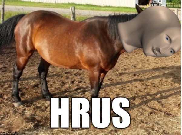 My new template, the meme man horse | image tagged in meme man horse | made w/ Imgflip meme maker