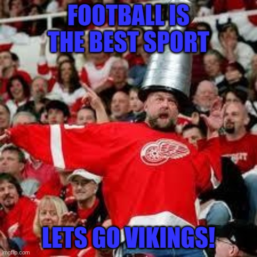 crazy hockey fan | FOOTBALL IS THE BEST SPORT; LETS GO VIKINGS! | image tagged in crazy hockey fan | made w/ Imgflip meme maker