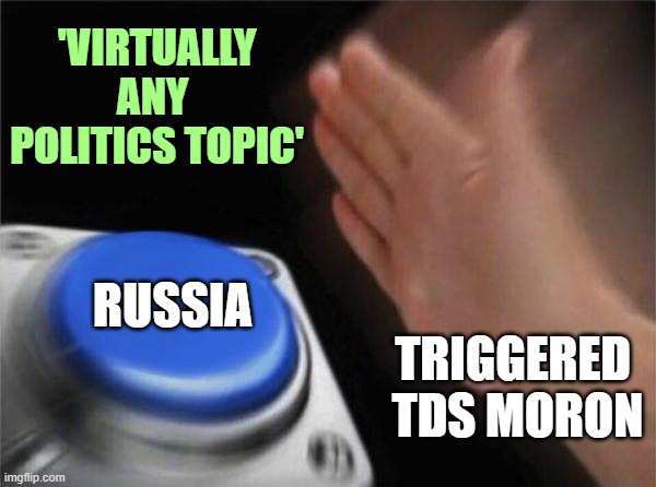 Blank Nut Button Meme | TRIGGERED 
TDS MORON RUSSIA 'VIRTUALLY ANY 
POLITICS TOPIC' | image tagged in memes,blank nut button | made w/ Imgflip meme maker