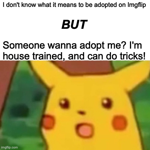 I also dont know how to figure out my Imgflip age... | I don't know what it means to be adopted on Imgflip; BUT; Someone wanna adopt me? I'm house trained, and can do tricks! | image tagged in memes,surprised pikachu | made w/ Imgflip meme maker