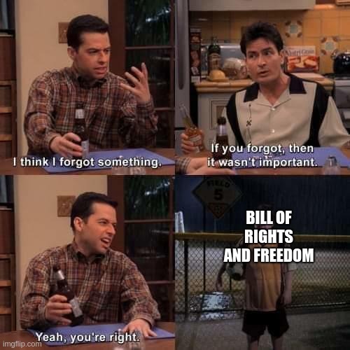 We forgot something guys... | BILL OF RIGHTS AND FREEDOM | image tagged in i think i forgot something | made w/ Imgflip meme maker