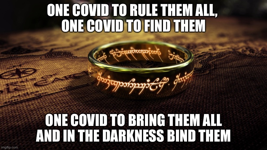 One Covid to Rule Them All | ONE COVID TO RULE THEM ALL, 
ONE COVID TO FIND THEM; ONE COVID TO BRING THEM ALL
AND IN THE DARKNESS BIND THEM | image tagged in one ring to rule them all | made w/ Imgflip meme maker