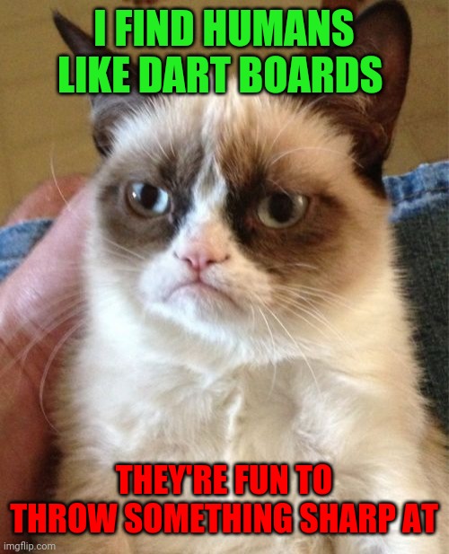 It's true | I FIND HUMANS LIKE DART BOARDS; THEY'RE FUN TO THROW SOMETHING SHARP AT | image tagged in memes,grumpy cat | made w/ Imgflip meme maker