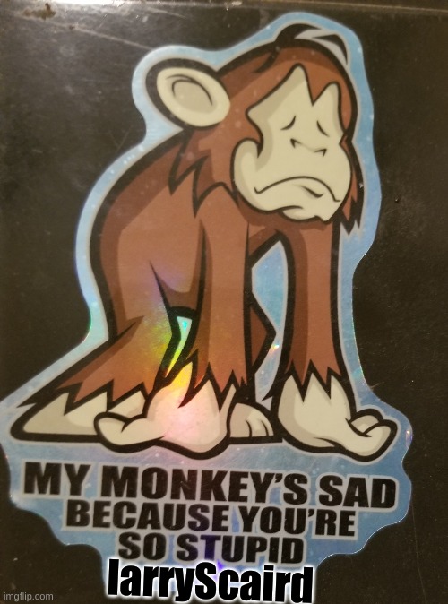 Sad little monkey | larryScaird | image tagged in sad little monkey | made w/ Imgflip meme maker